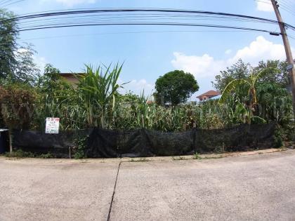 ที่ดินจัดสรร ซอย จามร ข ซอยที่ 26  ลำลูกกา ปทุมธานี