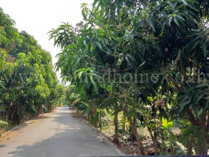 ขายที่ดิน สวนผสม นนทบุรี 2 ไร่ 60 ตร.ว แยกบางพลู ราชพฤกษ์
