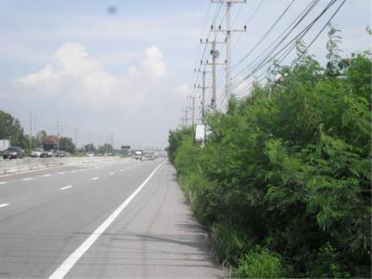 16847- ขายที่ดินติดถ.พหลโยธิน กม.73 ฝั่งขาเข้า (เข้าคู่ขนาน) เยื้องวิทยาลัยสงฆ์ของพระเทพ