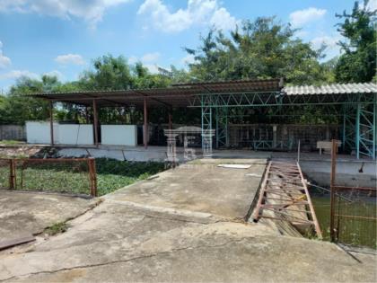 40376-ขายโรงงานบางกรวย-ไทรน้อย ใกล้สถานีตำรวจ โรงพยาบาลไทรน้อย เนื้อที่ 7-0-60.10 ไร่