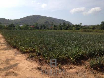 Land With Great Views 