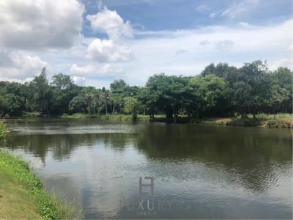 Beautiful Lakefront 1 Rai Plot of Land On Fishing Lake, Ideal For 1 or 2 Homes