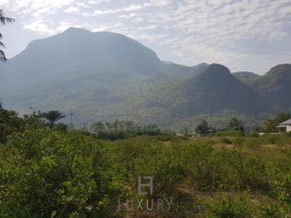 Beautiful Land For Sale In Dolphin Bay