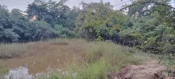 เงื่อนไขพิเศษปี 2568 อสิงห์หา ขายที่แปลงสวยติดติดท