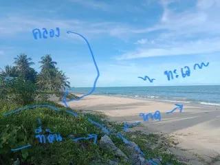 เช่า ขาย ที่ติดทะเล สงขลา ระโนด 1ไร่ 24วา 081-3755