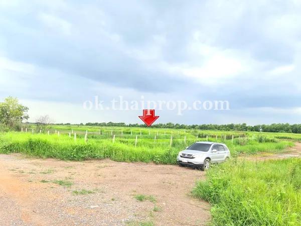 ที่ดินจัดสรร คลอง 24 ถ.รังสิต-นครนายก องครักษ์
