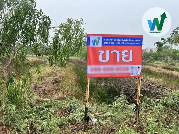 ขายที่ดินเปล่า ใกล้ตลาดบัวหวั่น เนื้อที่ 400 ตรว.