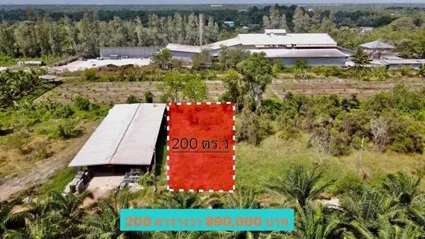 ลดราคาที่ดินคลอง12-หนองเสือ-ถมแล้วน้ำไฟพร้อม