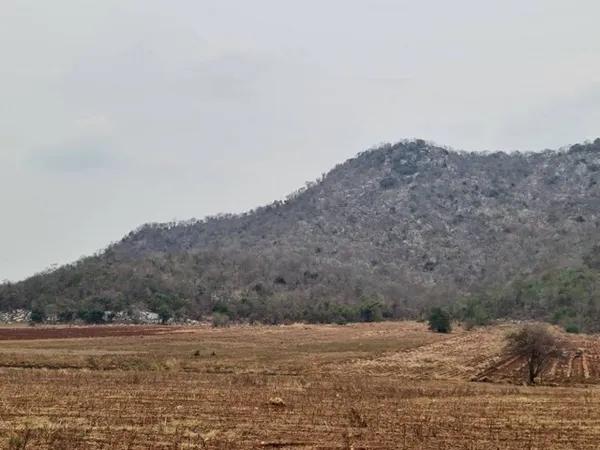 แค่วางดาวน์ก็มีโอกาส ขาย/เช่า ที่ติดภูเขา อ.เมือง