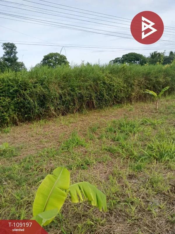 ขายที่ดินเปล่า เนื้อที่ 2 ไร่ ปากช่อง นครราชสีมา